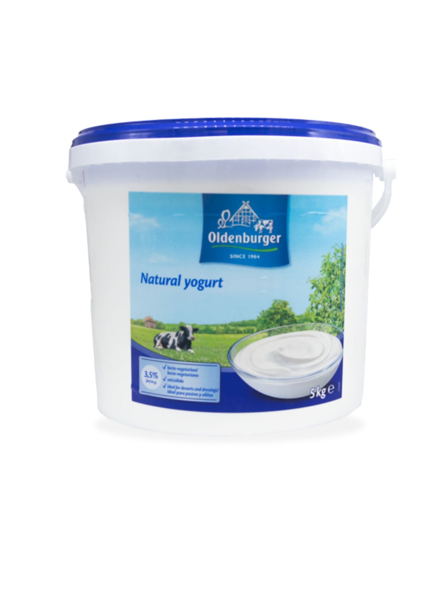 Yogurt Natural 5Kg