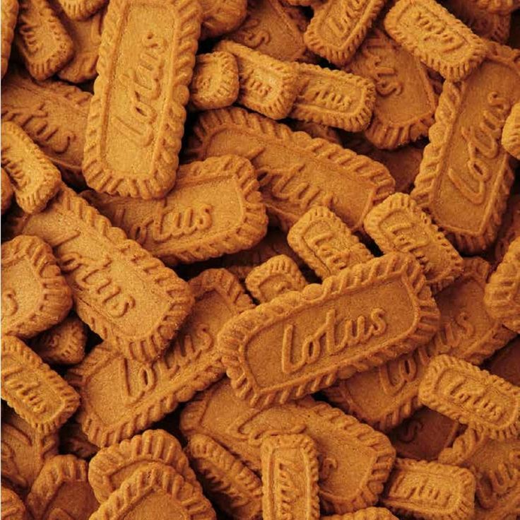Biscoff Lotus 8×
