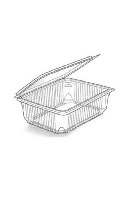 Envase Rectangular con Tapa Bisagra